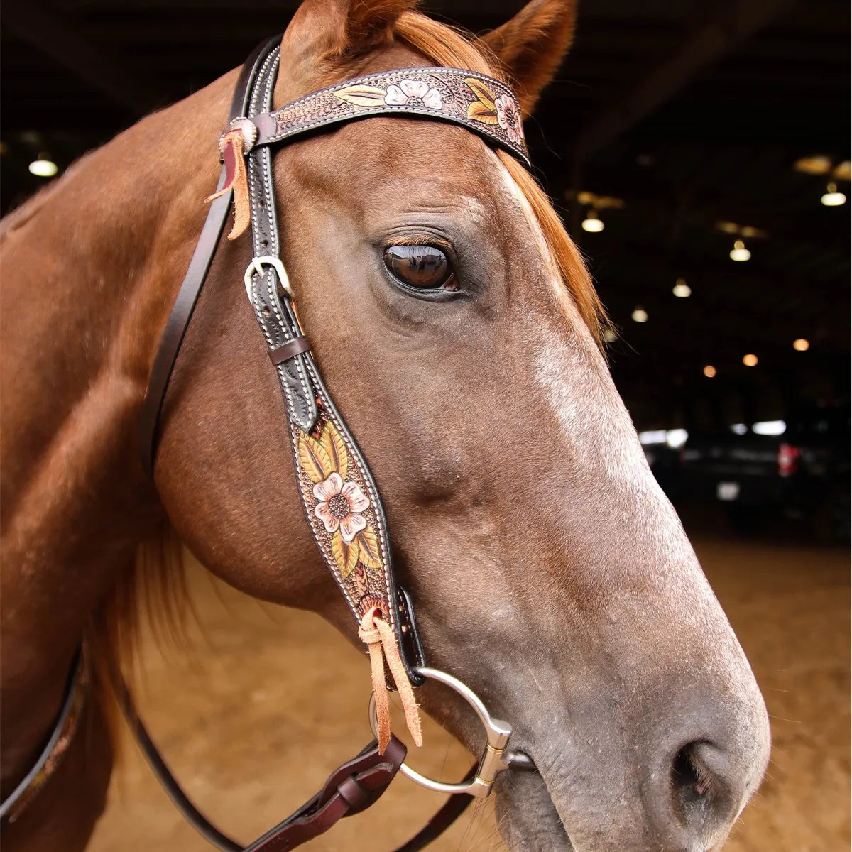 Circle Y Dogwood Flower Browband Headstall