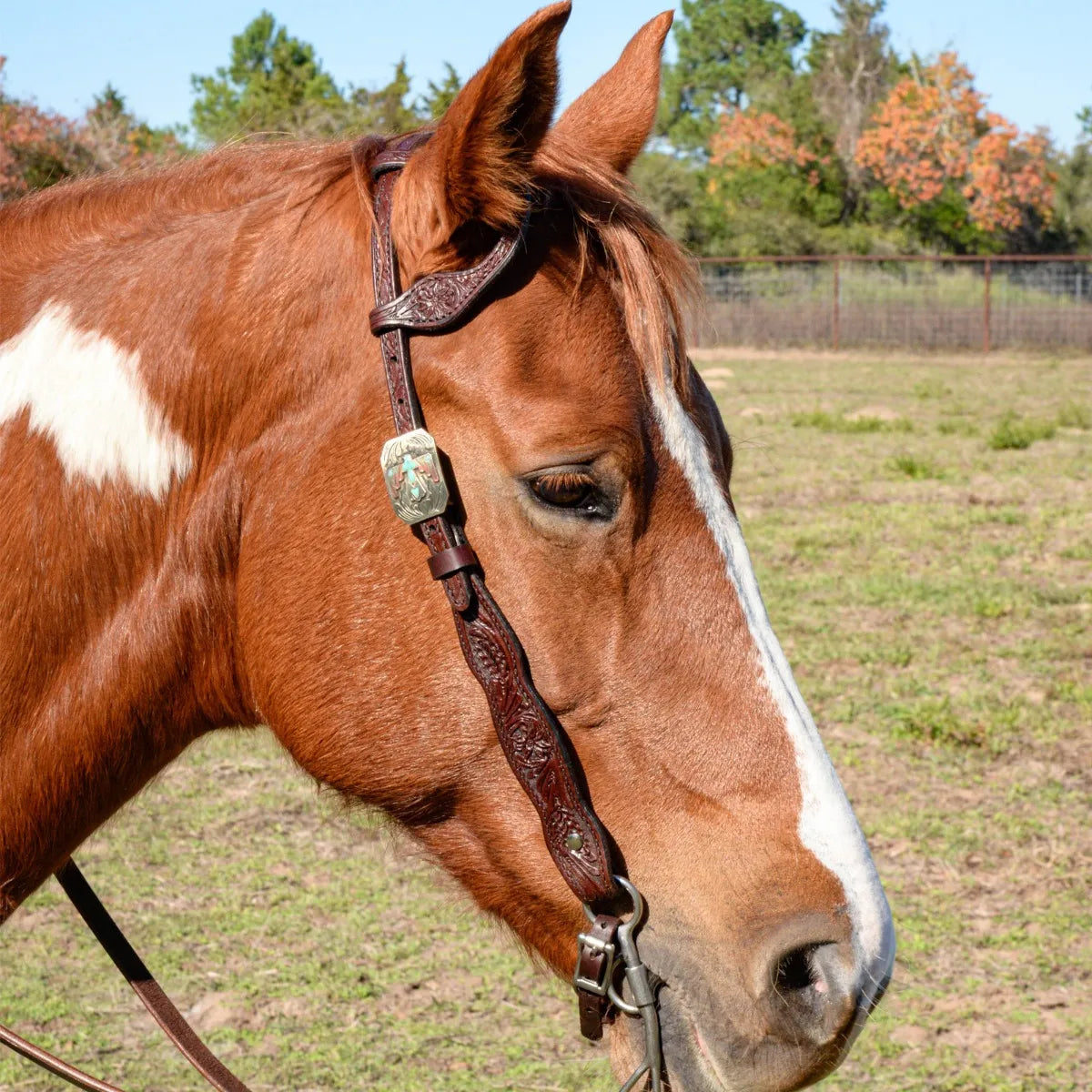 Reinsman Shaped Brow Great Oak 5/8" Single Ear Headstall