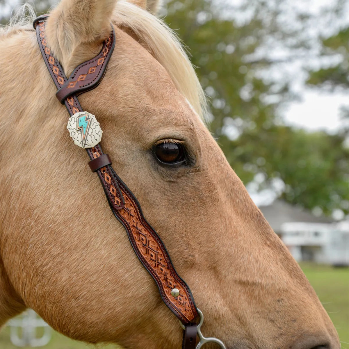 Circle Y One Ear Headstall Montana Vintage