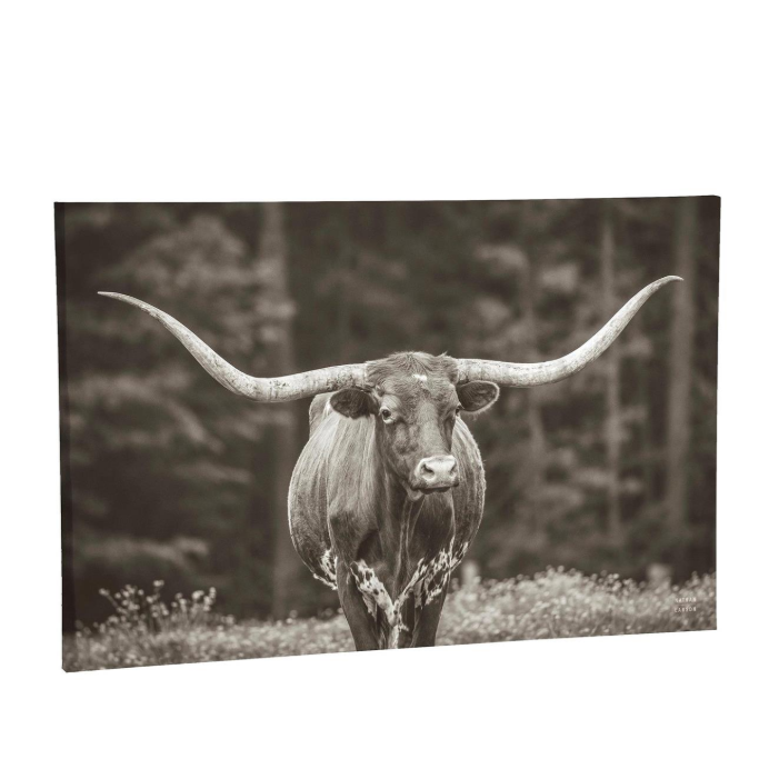 Evergreen Petal & Plow Longhorn Outdoor Canvas
