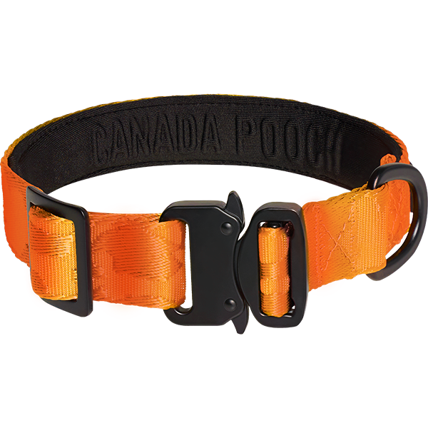 Canada Pooch Utility Collar