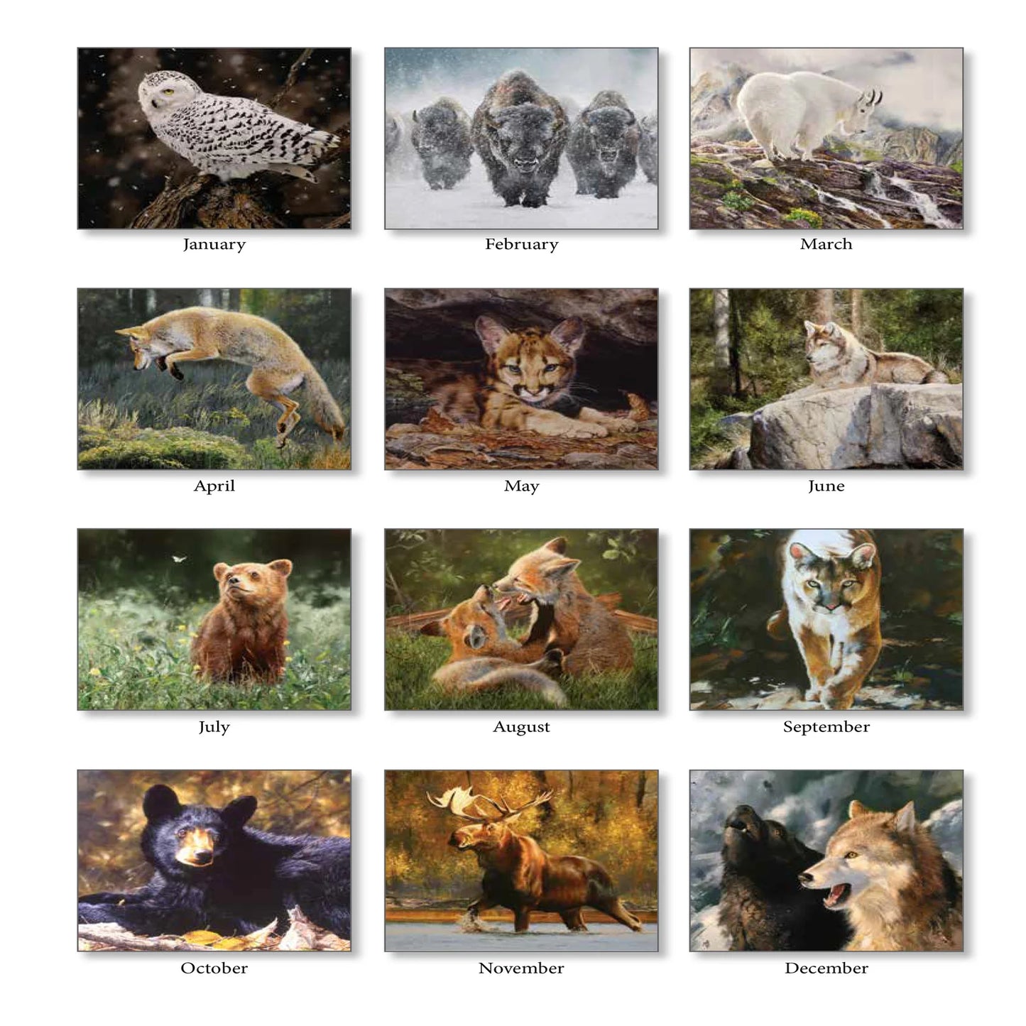 2026 Calendar - Animal Instincts