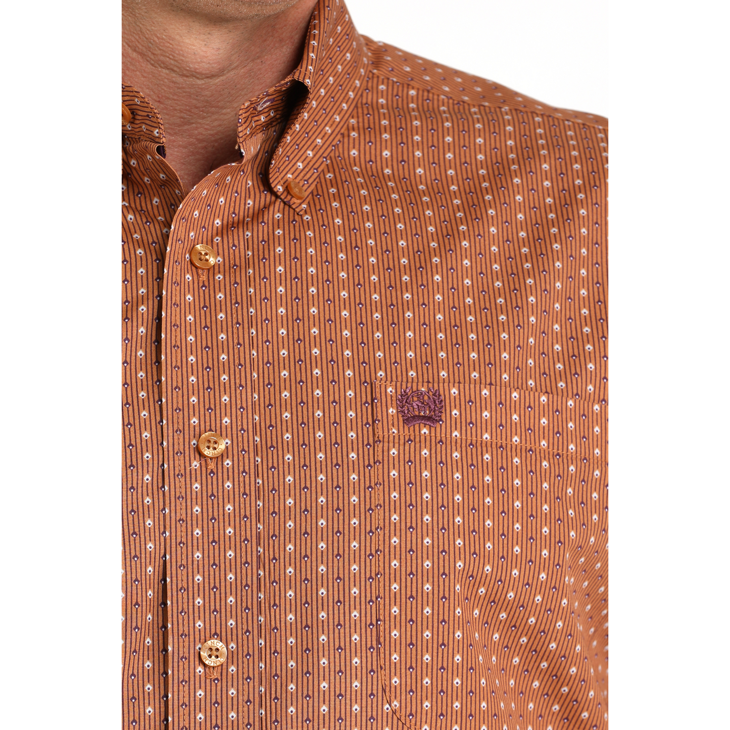 Cinch Men's Long Sleeve Print Shirt- Brown