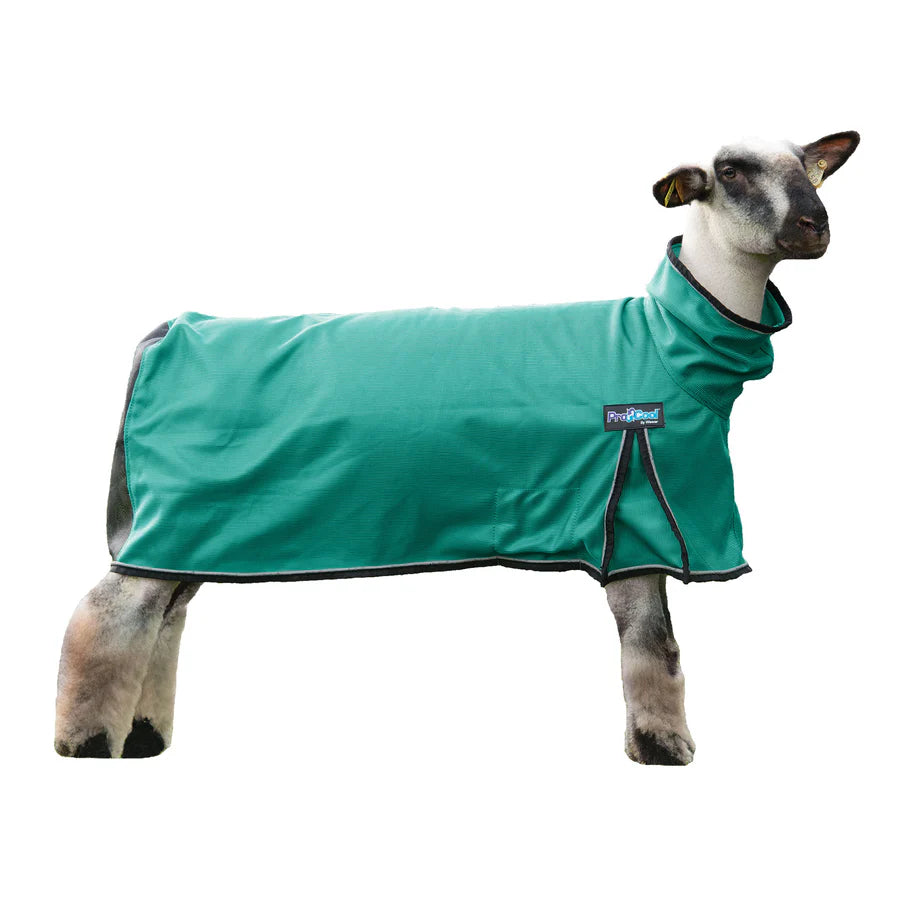 Weaver ProCool™ Sheep Blanket with Reflective Piping -Large