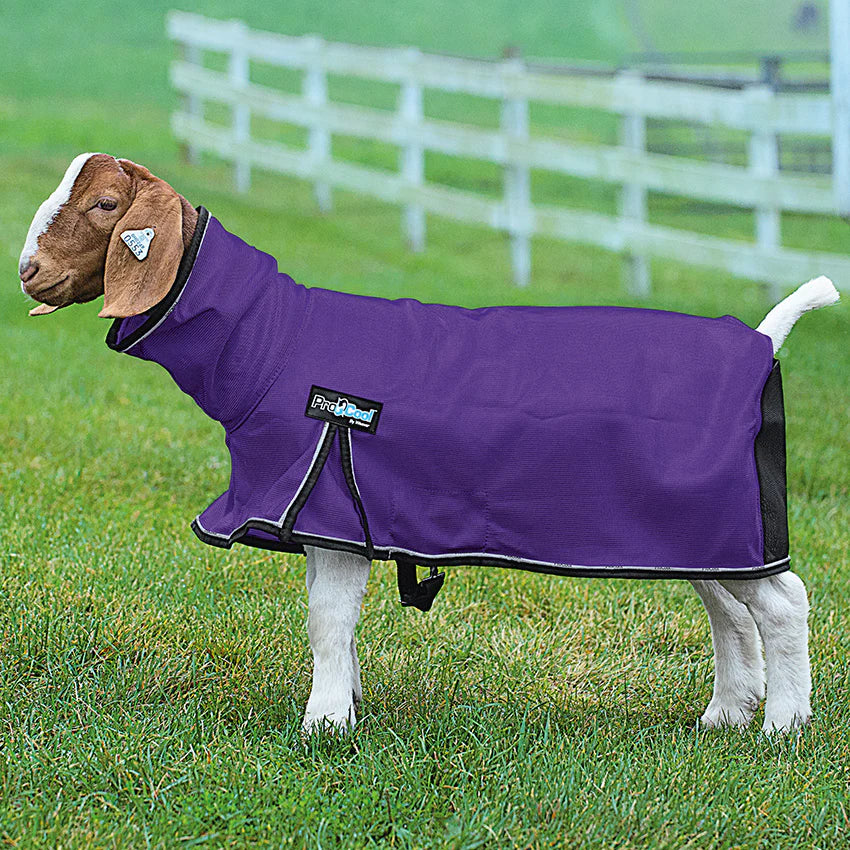 Weaver ProCool Goat Blanket w/Reflective Piping & Mesh Butt - LARGE
