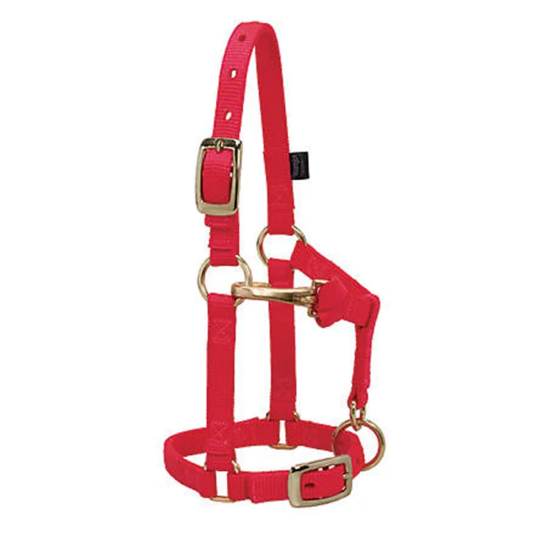 Weaver Leather Miniature Horse Halter with Chin and Throat Strap- Multiple Colours