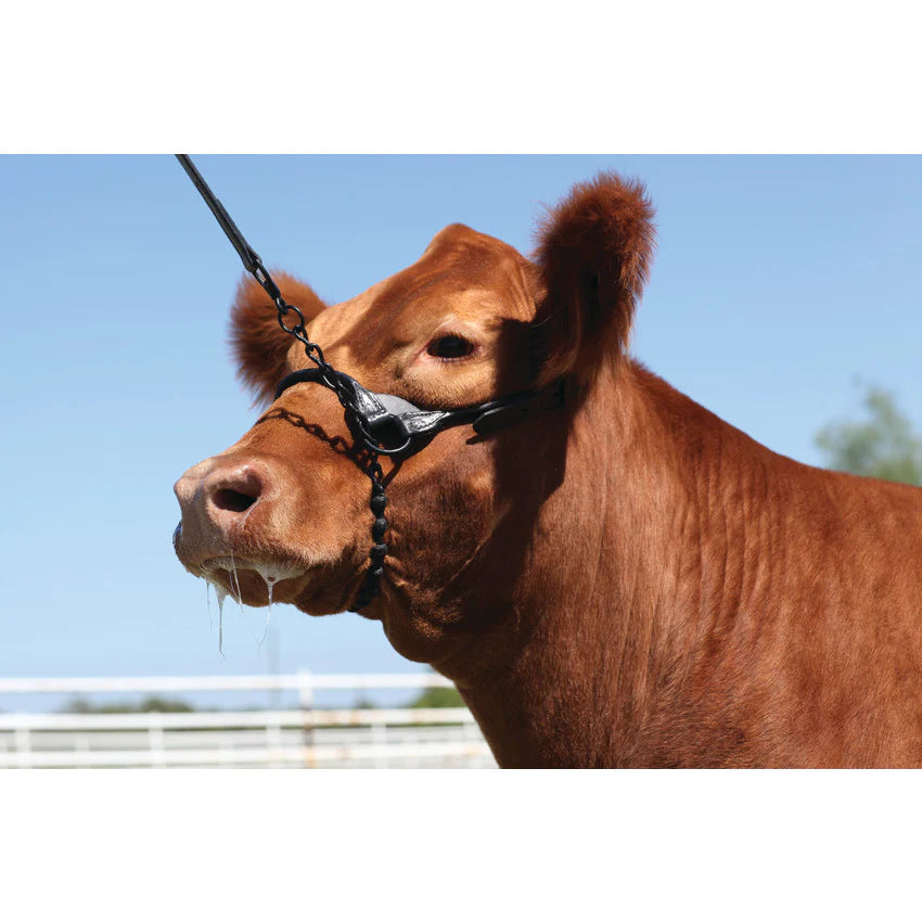 Weaver 1" Braid Rawhide Chain Lead BK