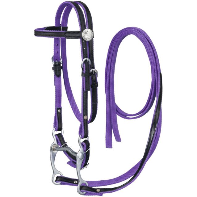 King Series Nylon Pony Browband Bridle w/Leather Overlay