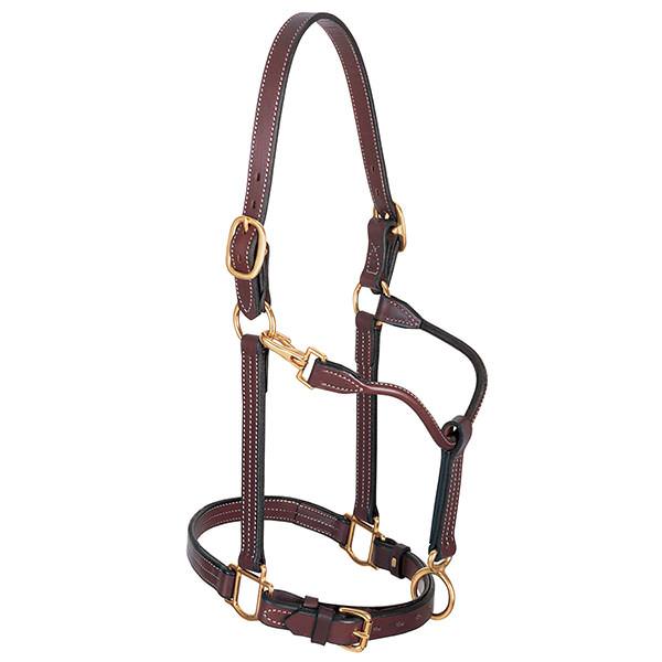 Weaver 1" Track Halter