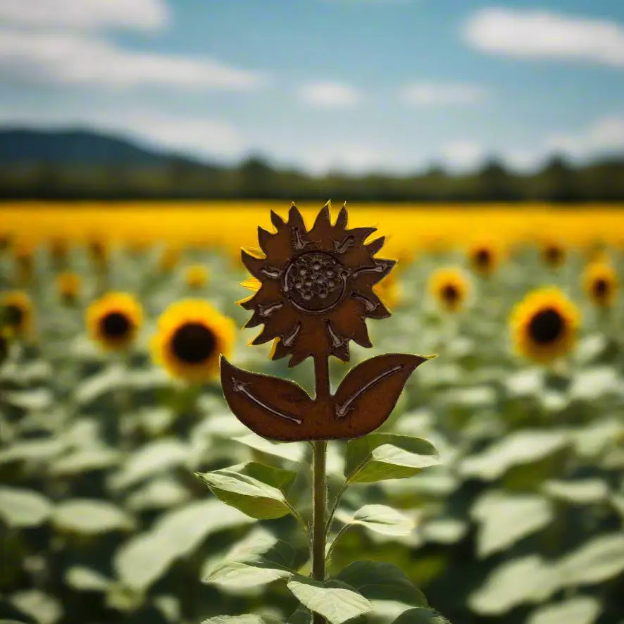 Sunflower Magnet