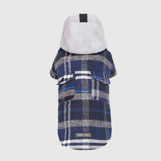 Canada Pooch The Shacket Blue  Plaid Size 16