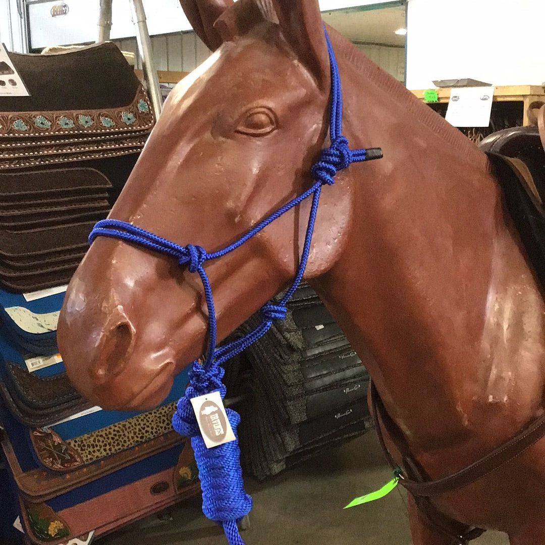 Irvine Diamond Mountain Halter 5/16" w/8' Lead