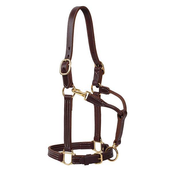 Weaver 1" Track Halter