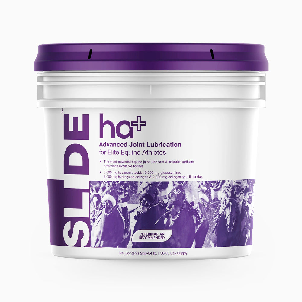 Slide HA+ Equine