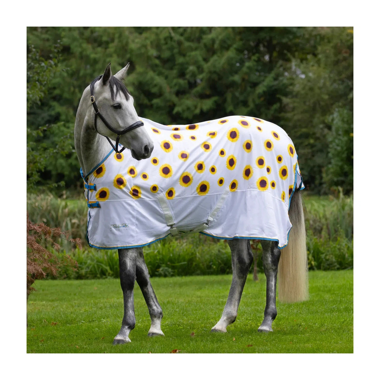 Shire Tempest Fly Sheets w/Standard Neck