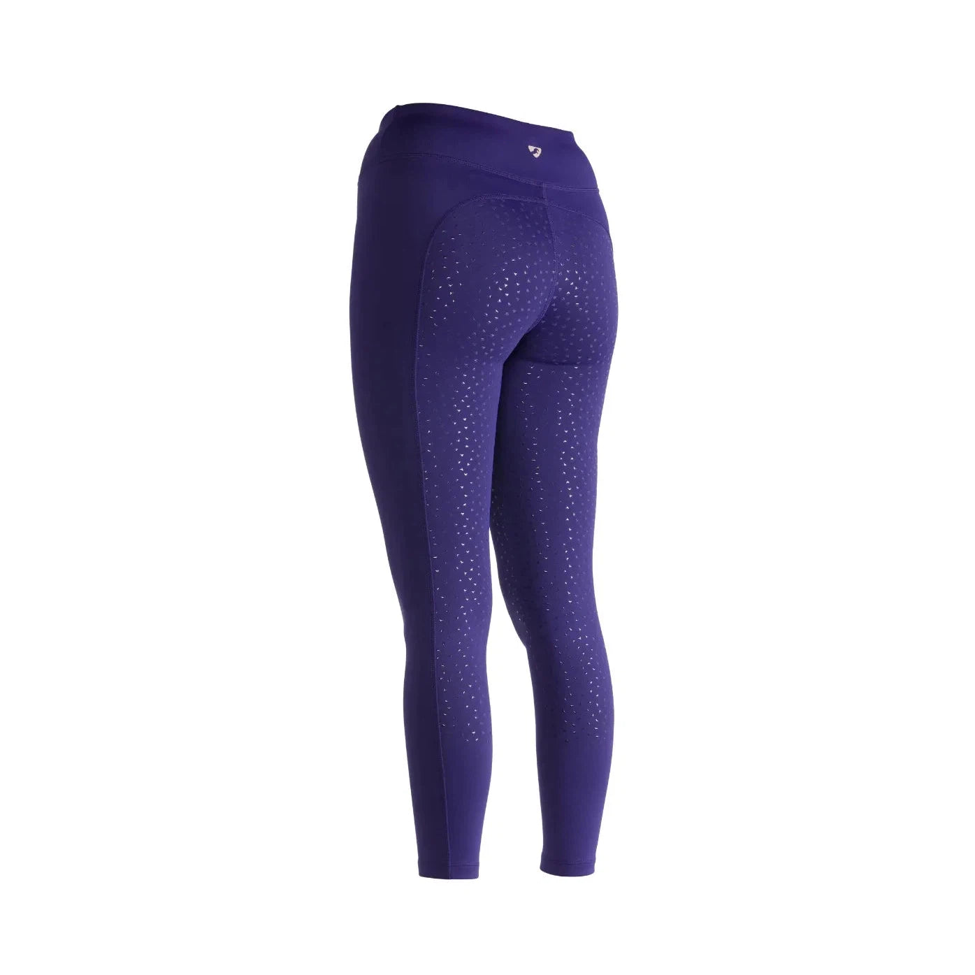 Aubrion Shield Winter Riding Tights