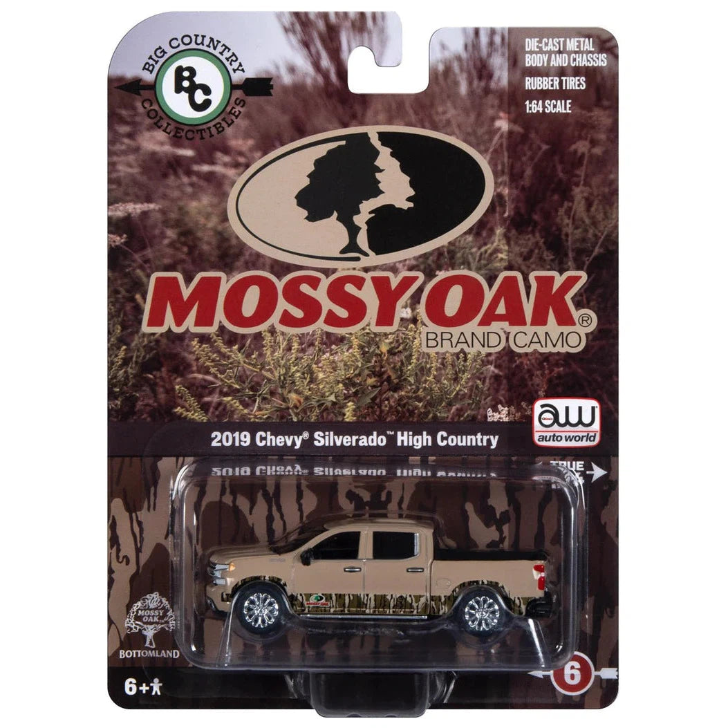 Big Country Mossy Oak 2019 Chevrolet Silverado High Country