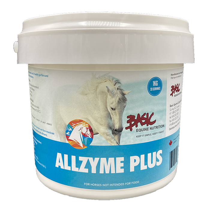 Basic Equine Allzyme Plus 1 KG