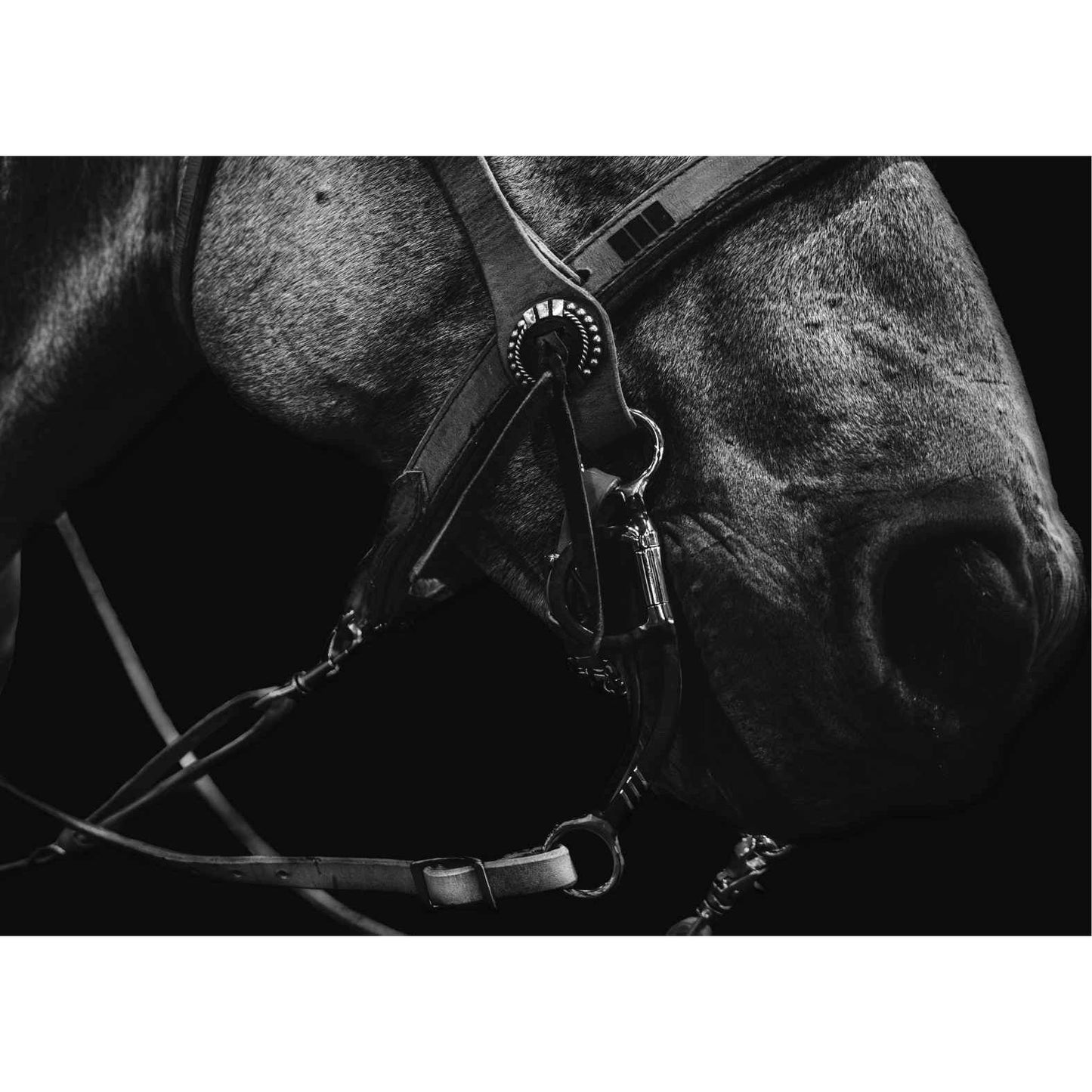 Reinsman PRCA Chain Mouth Bit-