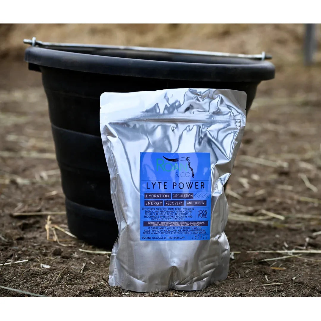 Roan & Co Lyte Power