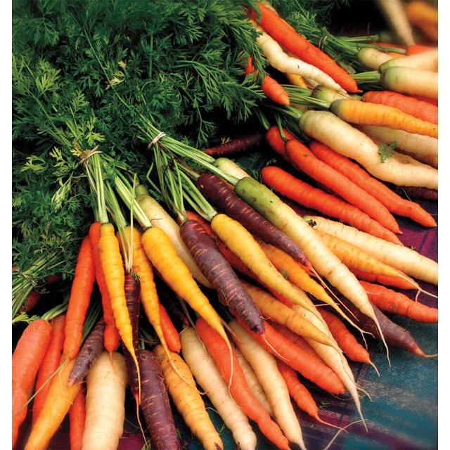 West Coast Seeds Carrots - Rainbow Blend 0.75g - Irvine Tack & Western Wear