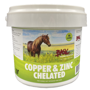 Basic Equine Copper & Zinc 1KG
