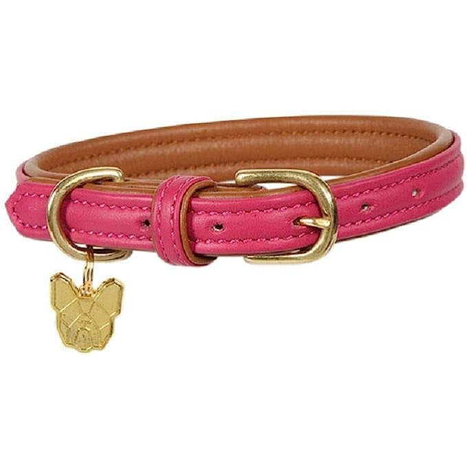 Shires Digby & Fox Padded Leather Dog Collar