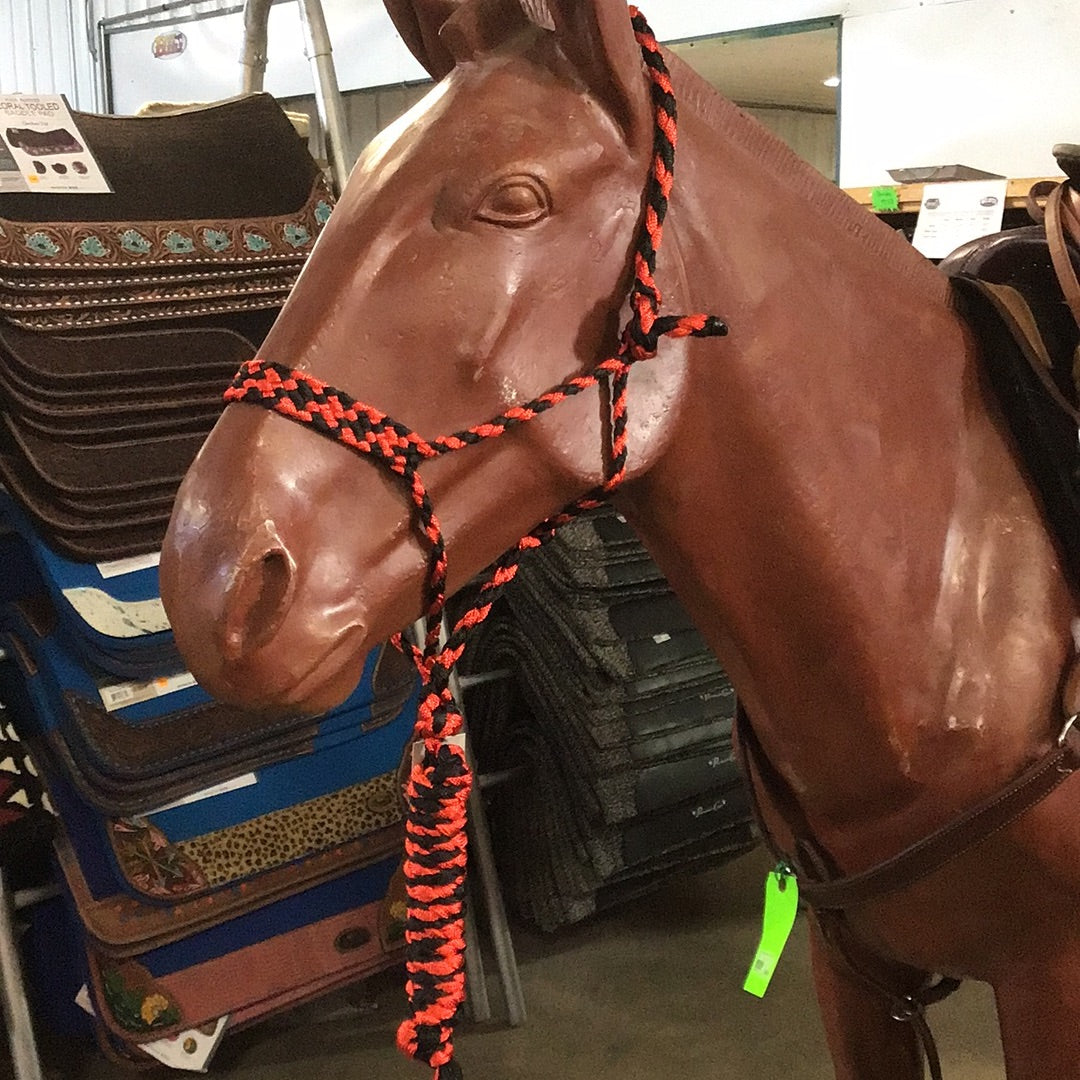 Irvine Mule Tape Halter w/8 ft Lead