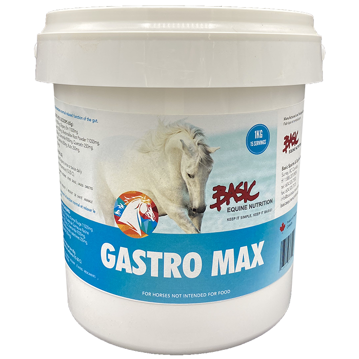 Basic Equine Gastro Max
