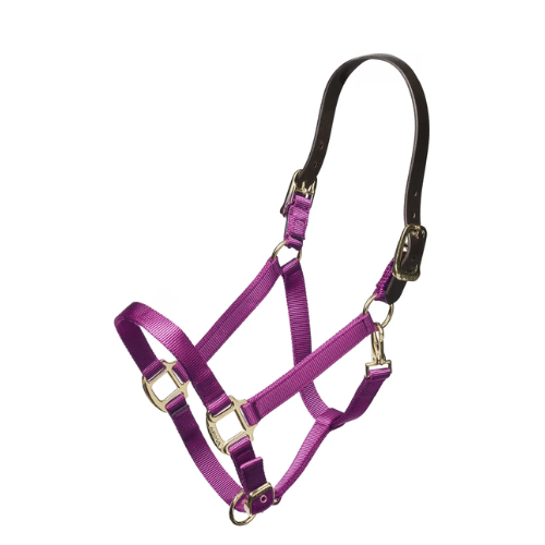 Shires Nylon Halter with Leather Head Strap - Assorted Colors
