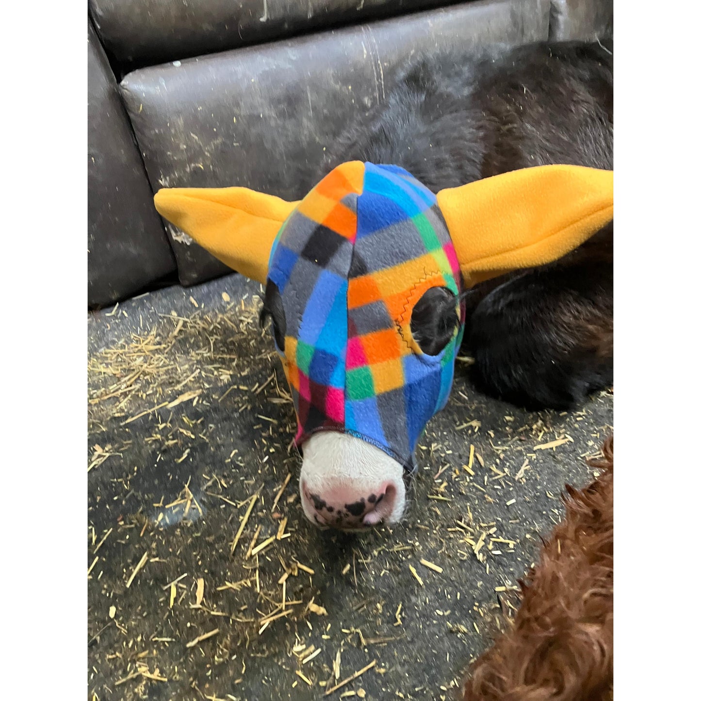 Mooques Calf Touque