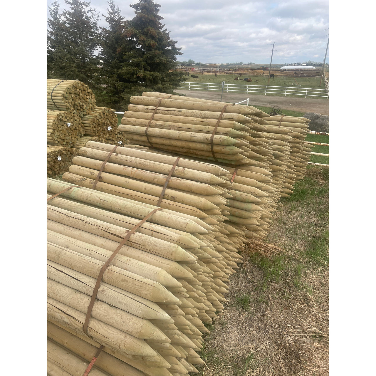 Dowelled Fence Posts