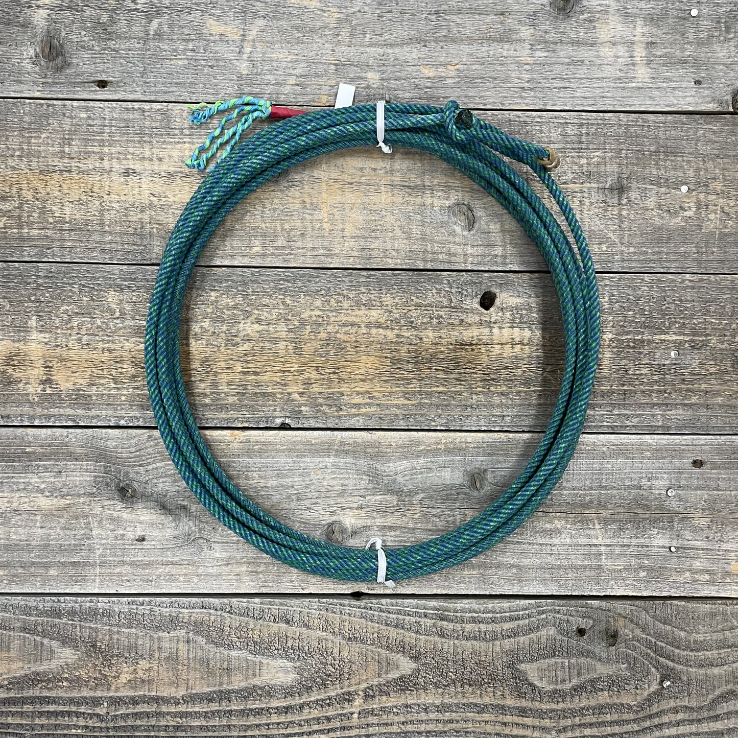 Junior Apocalypse 4 Strand