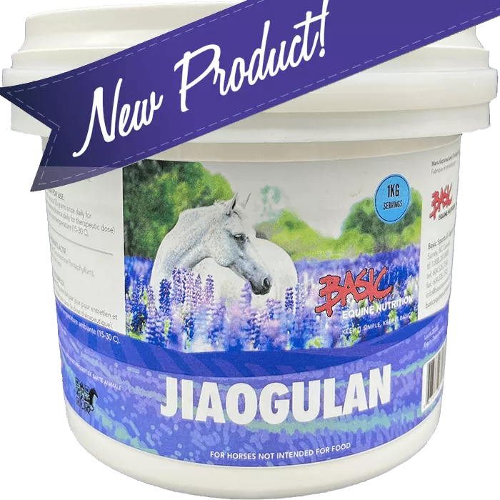 Basic Jiagulan 1KG