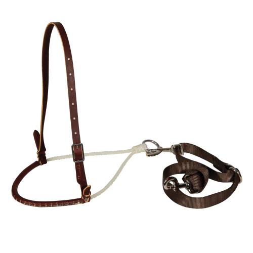 Professional Choice Pony Tie down Set