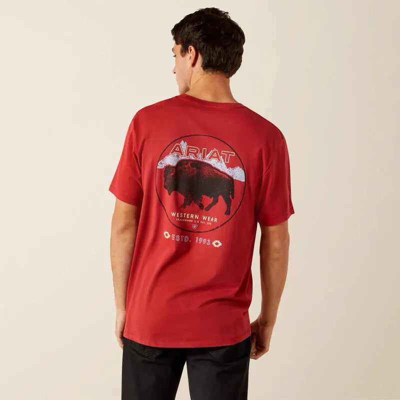 Ariat Men's Short Sleeve Patriot Buffalo Coin Tee Shirt - Brick Red