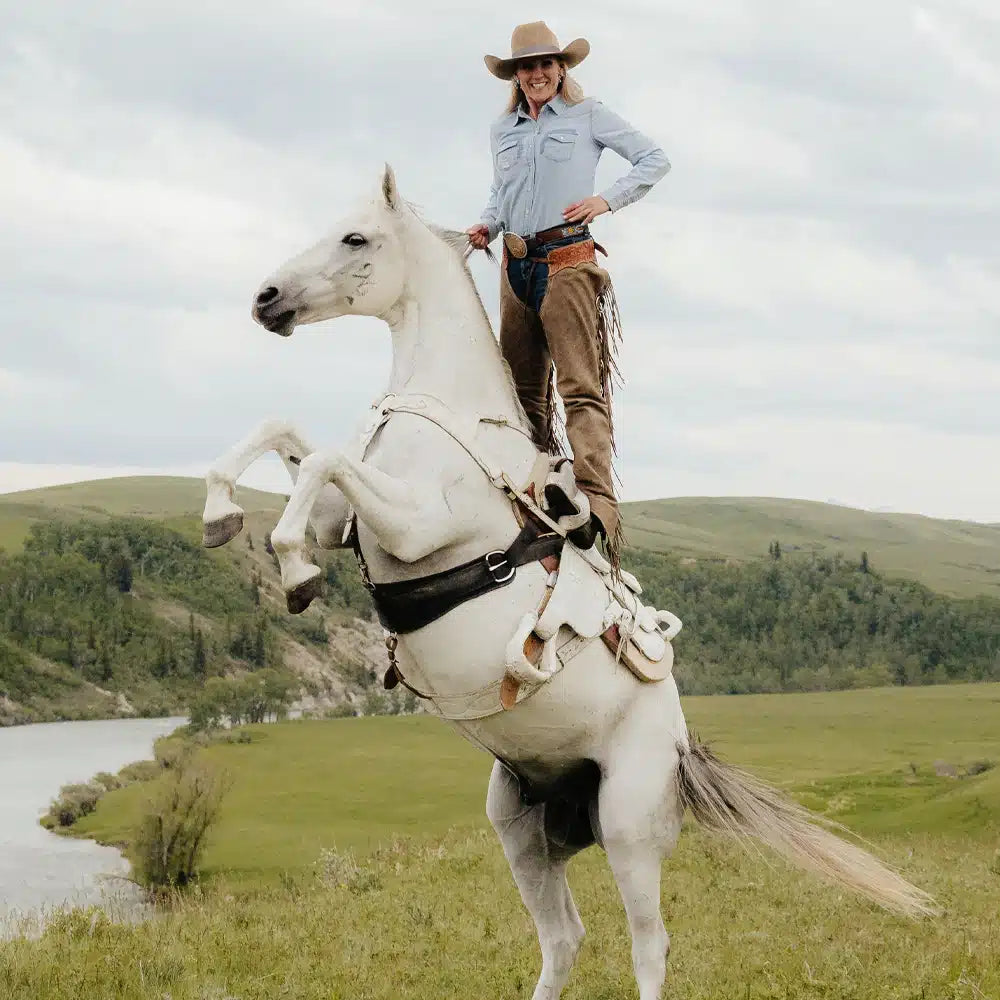 Back On Track GT Western Roper Cinch