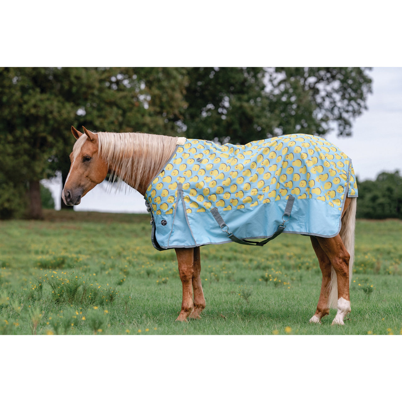 Professional's Choice Pony Rain Sheet