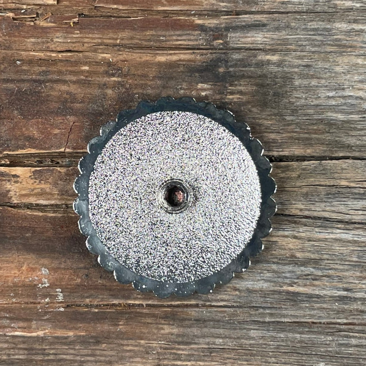 Rodeo Drive Cactus and Flower Concho - 1.5"