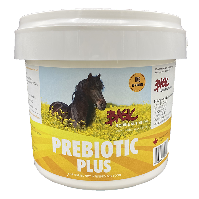 Basic Equine Pre-Biotic Plus - 1kg