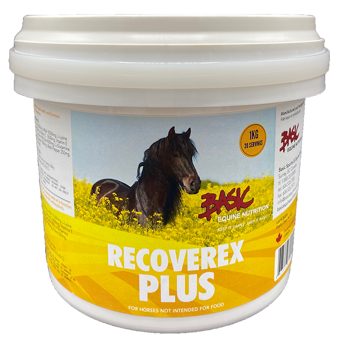Basic Equine Recoverex Plus
