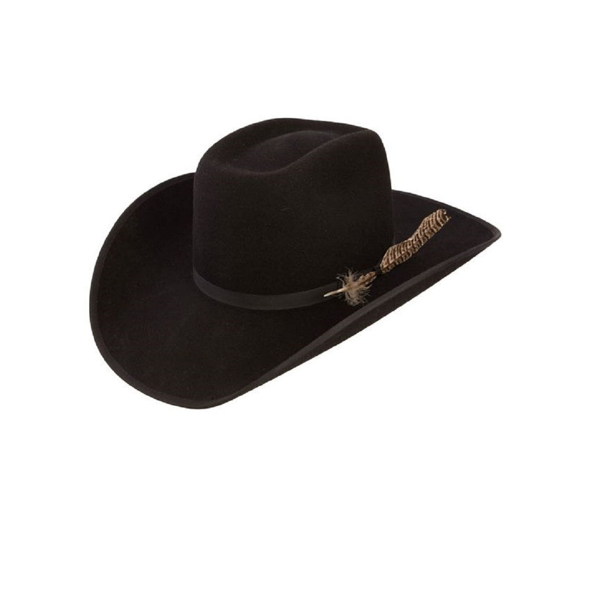 Resistol 20X Black Gold Western Hat