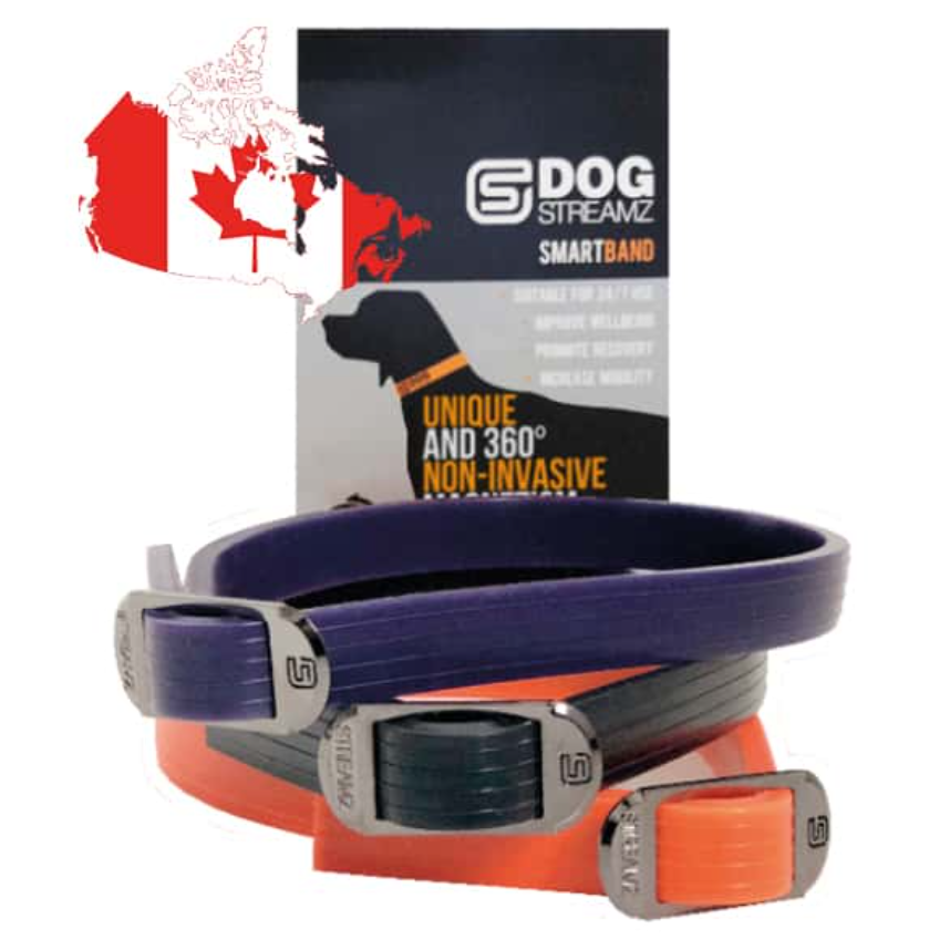 StreamZ Magnetic Dog Collar
