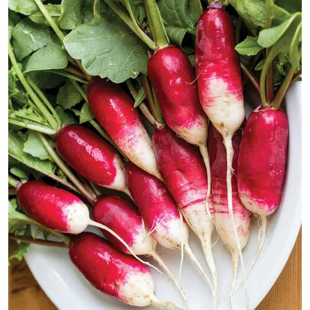 West Coast Seeds Vegetable - Radishes - French Breakfast 10g