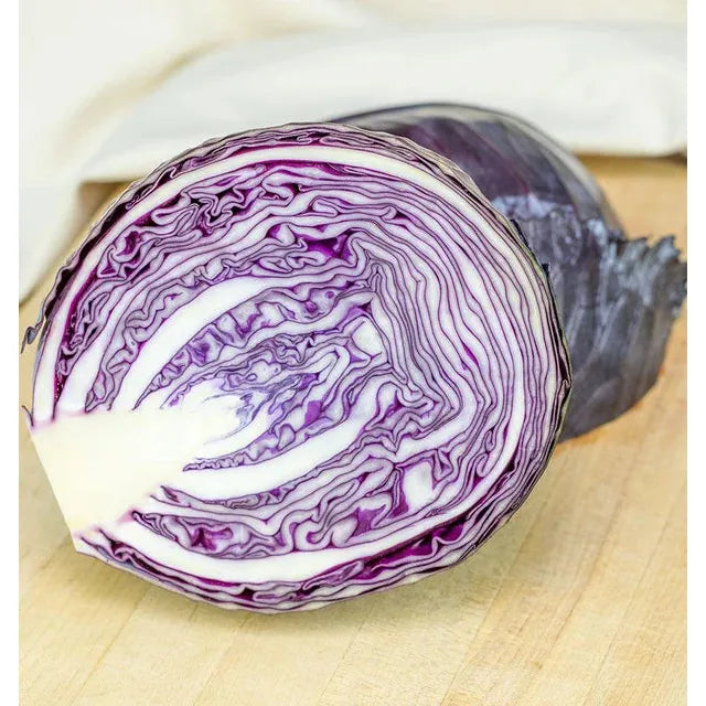 West Coast Seeds Cabbage - Integro F1 Coated Organic 15 Seeds