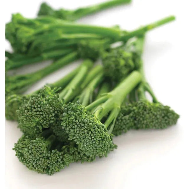 West Coast Seeds Broccoli - Aspabroc F1 Broccolini 0.1g