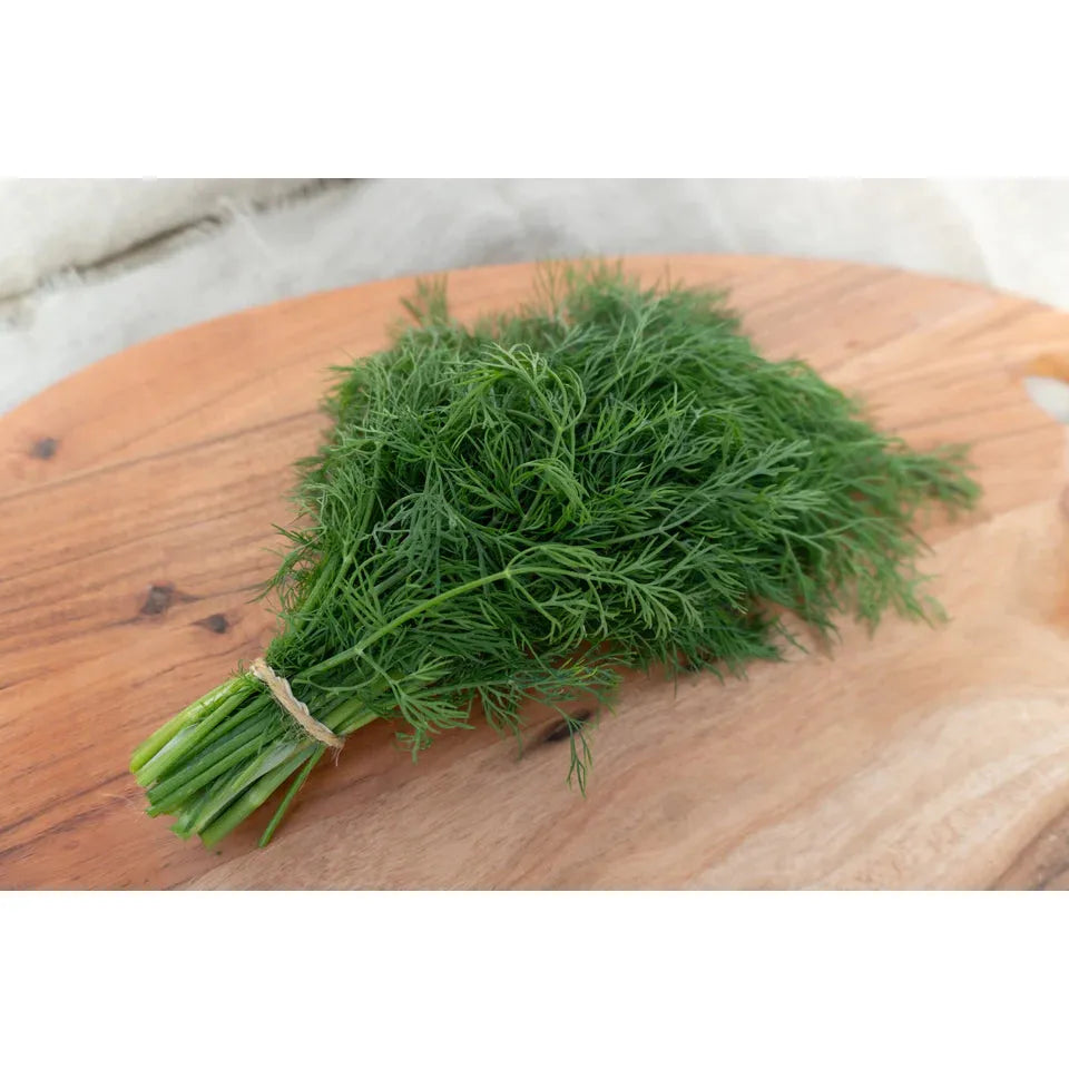 West Coast Seeds Thalia (Dill) - Organic 0.5g