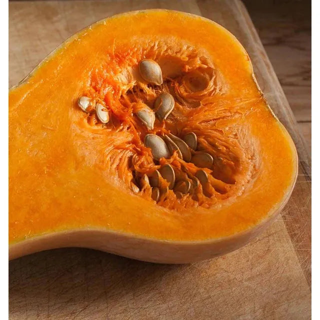 West Coast Seeds Vegetable - Winter Squash - Waltham Organic 1g