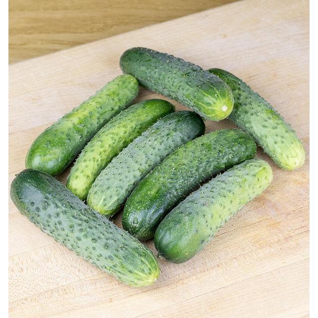 West Coast Seeds Cucumbers - Artist Gherkin F1 Coated 250 Seeds