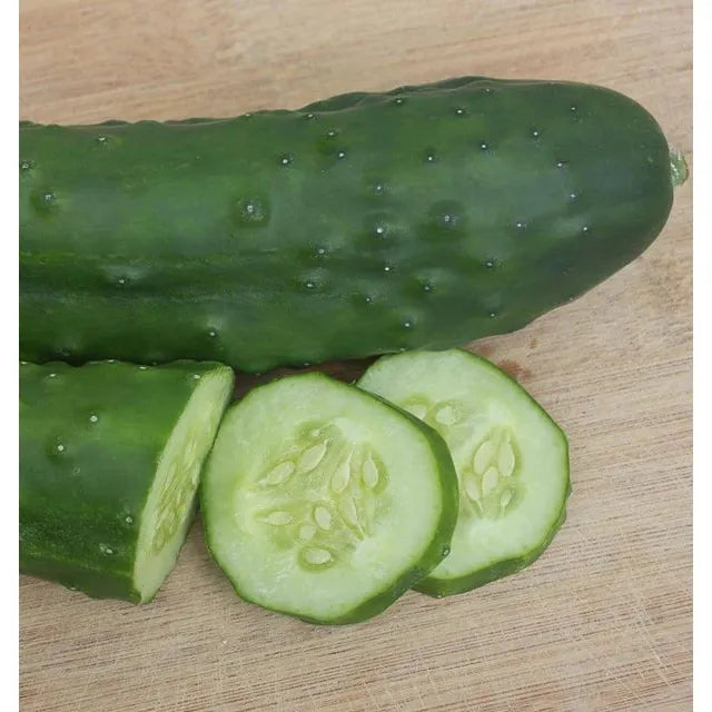 West Coast Seeds Cucumbers - Olympian F1 1g